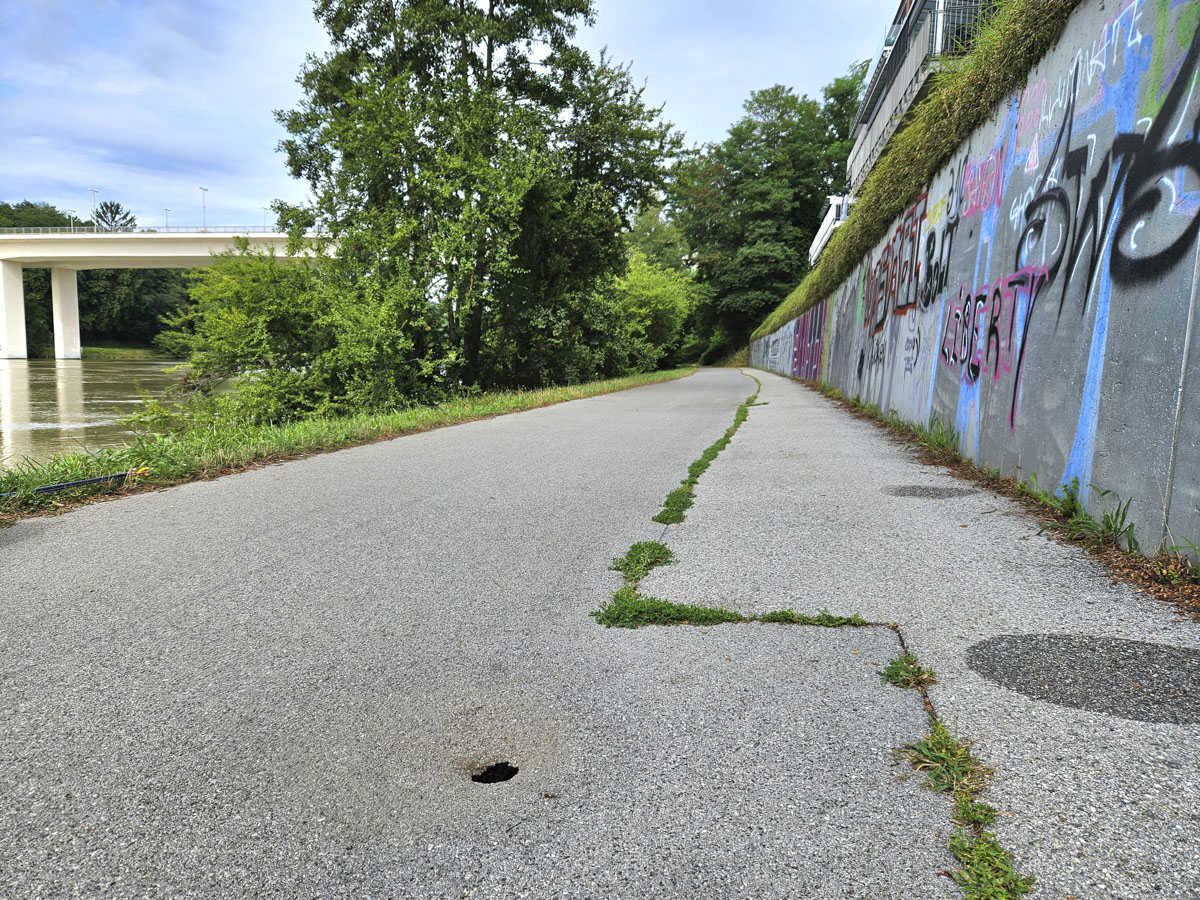 Parkiranje pod drevesi Gosposvetska cesta 67