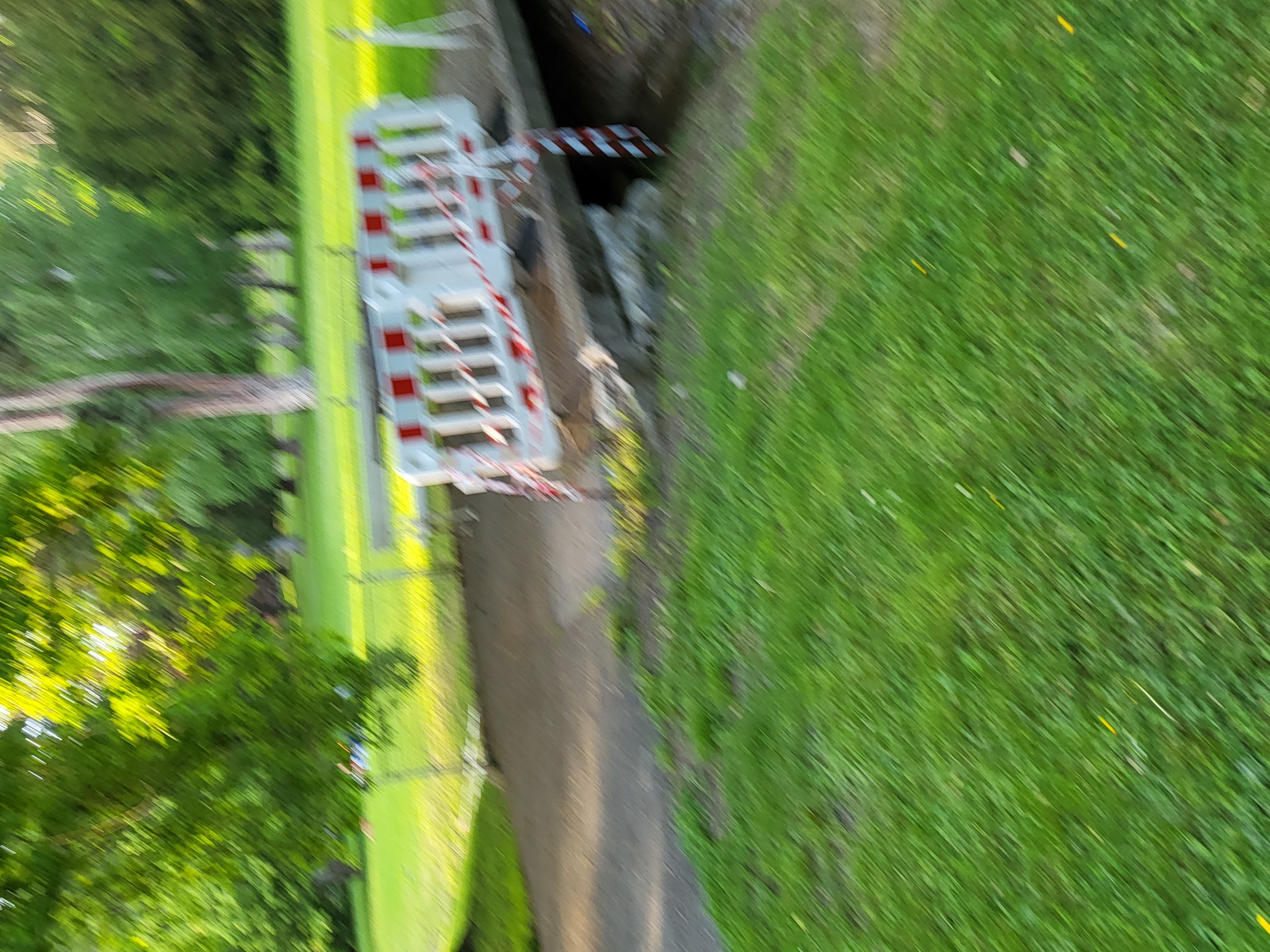 Vandali v Mestnem parku