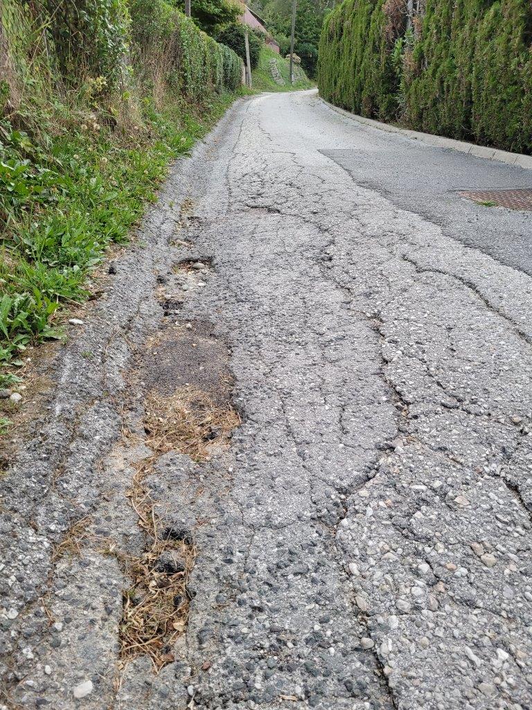 Ureditev ceste v Ribniškem selu - Sprehajalna pot