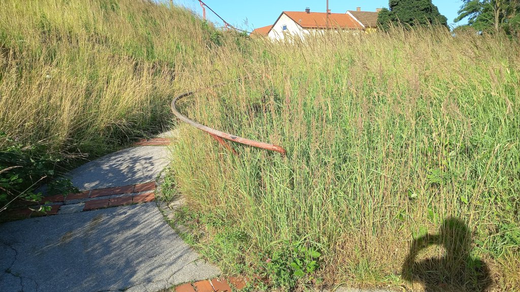 Še vedno nepokošena trava?!