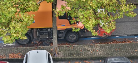 Borova vas Maribor - listje in odtoki