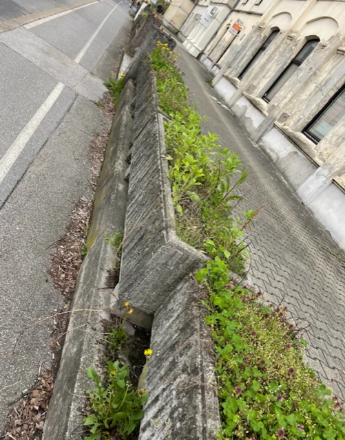 Neurejenost korit ob nekdanji vojašnici v Melju