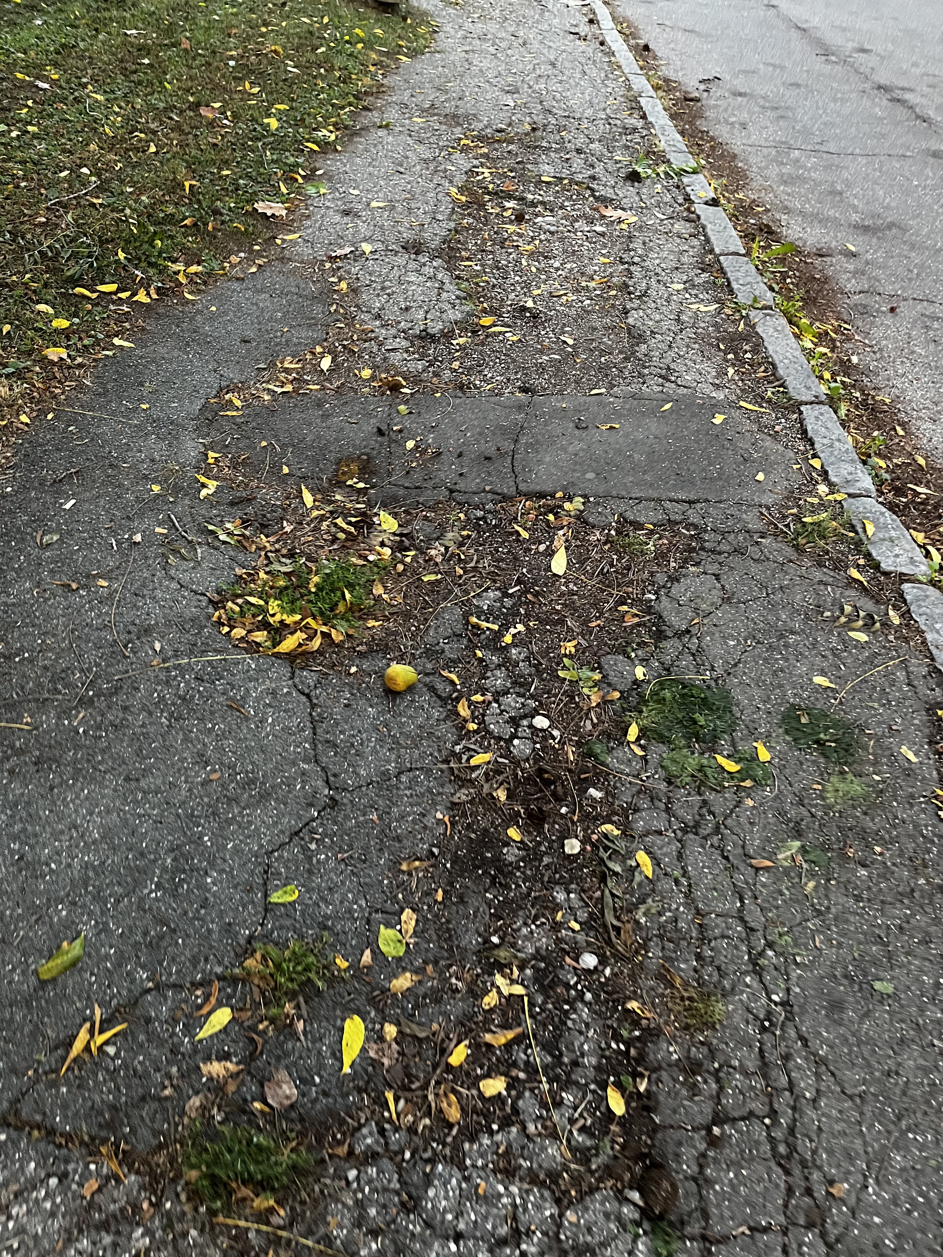 Pločnik pri OŠ borcev za severno mejo