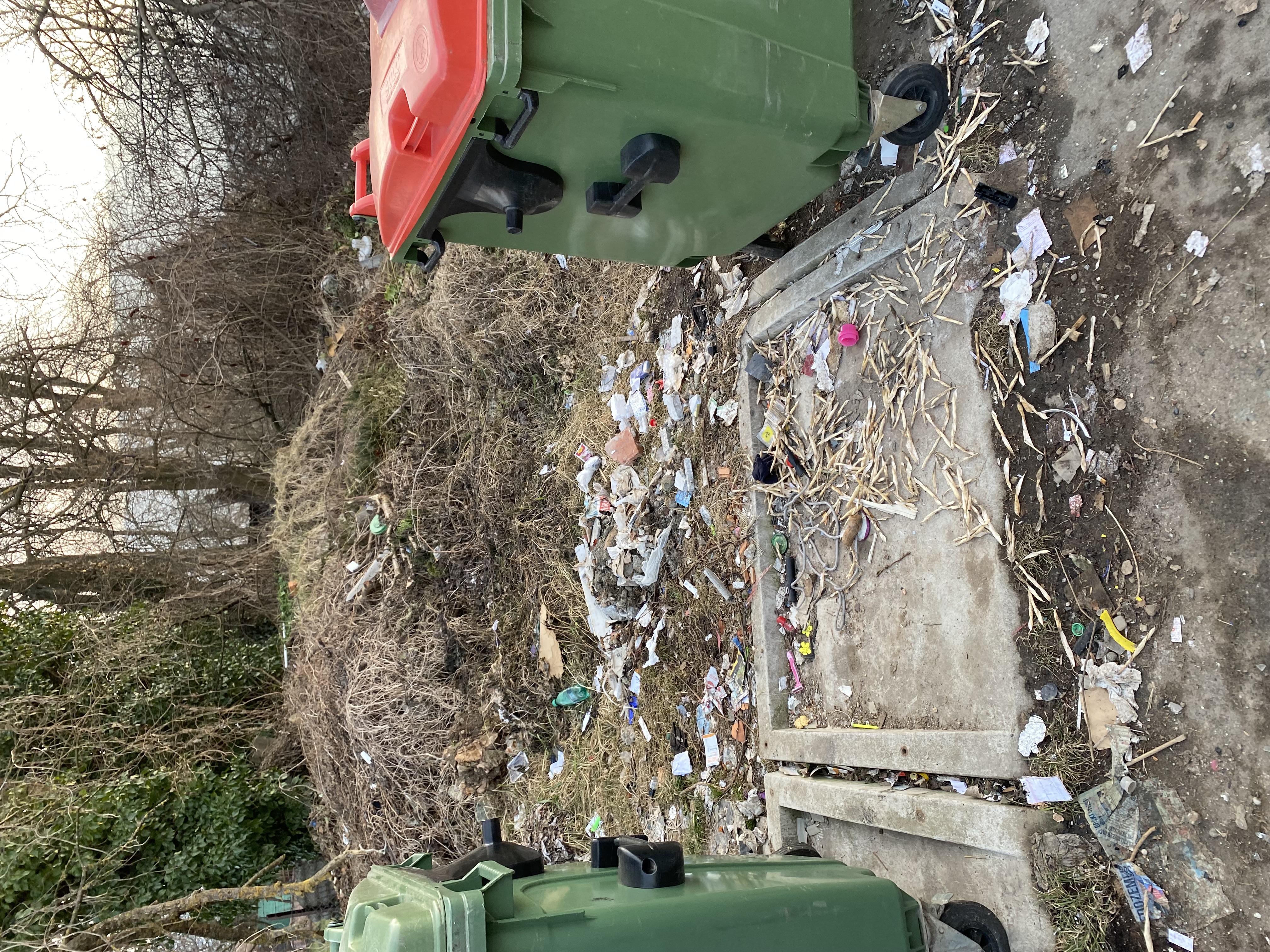 Odstranitev smetnjakov - Ulica I. internacionale