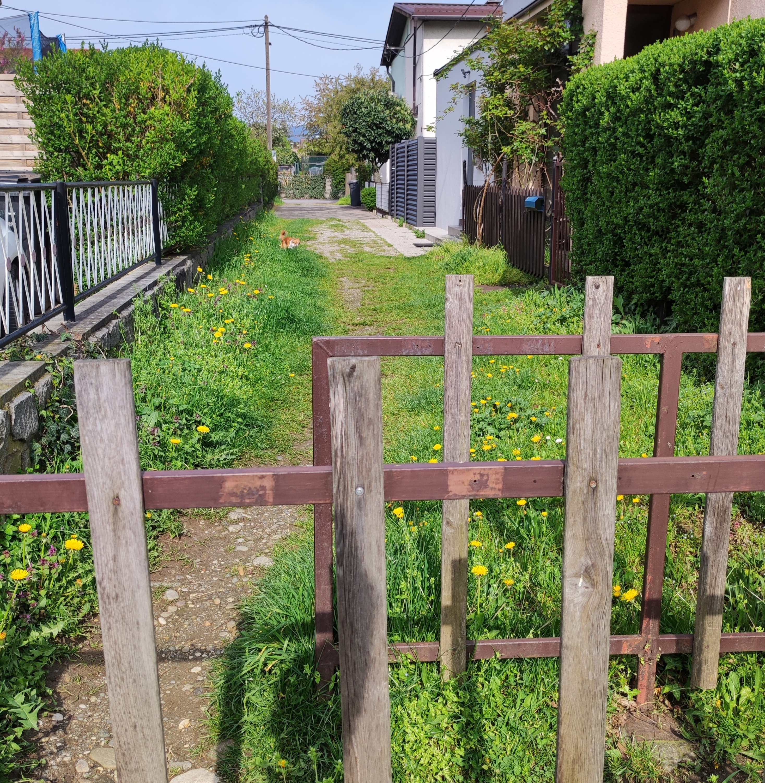 Ureditev javne površine - Ruplova ulica