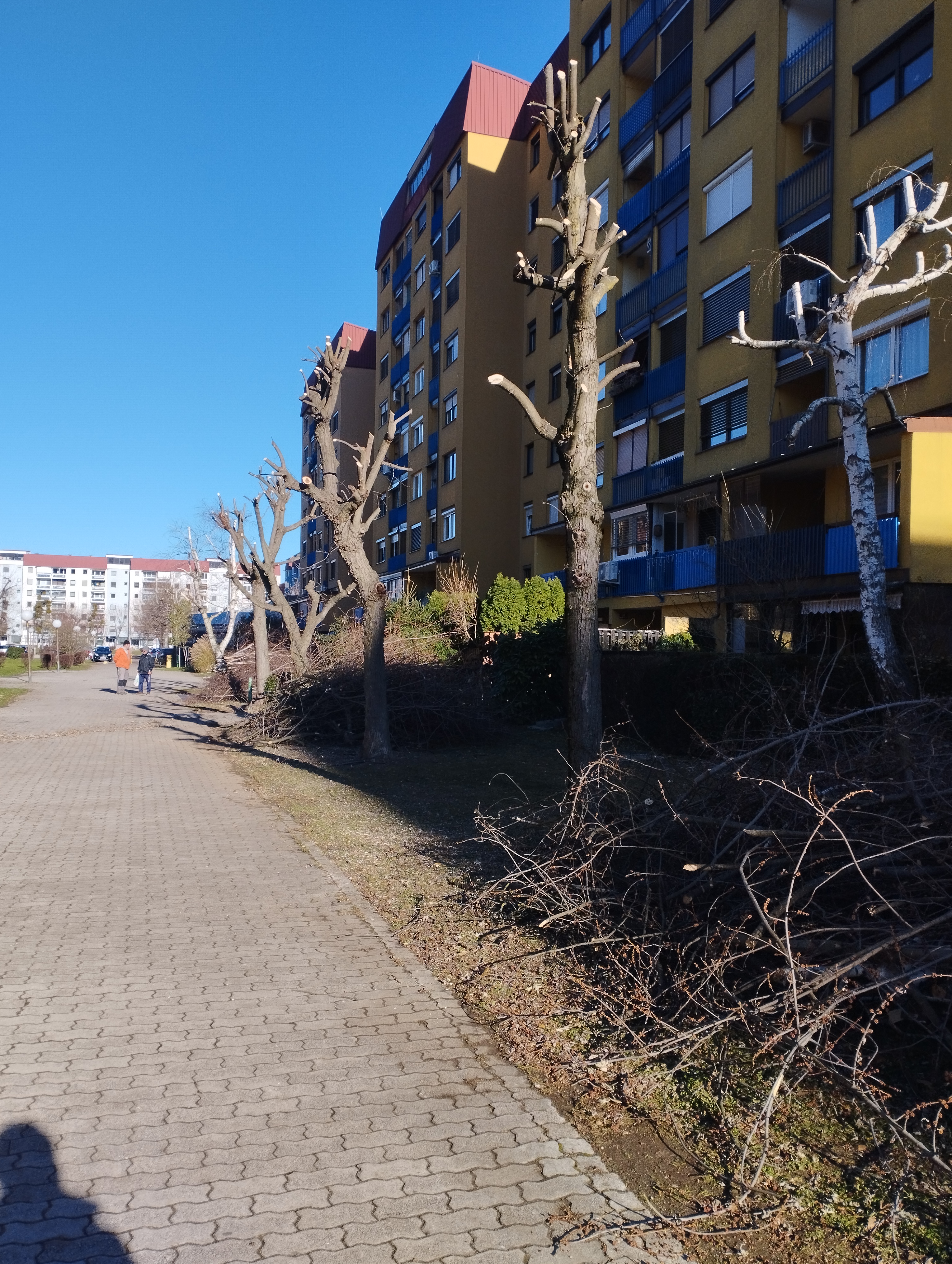 Nestrokovno obrezovanje dreves