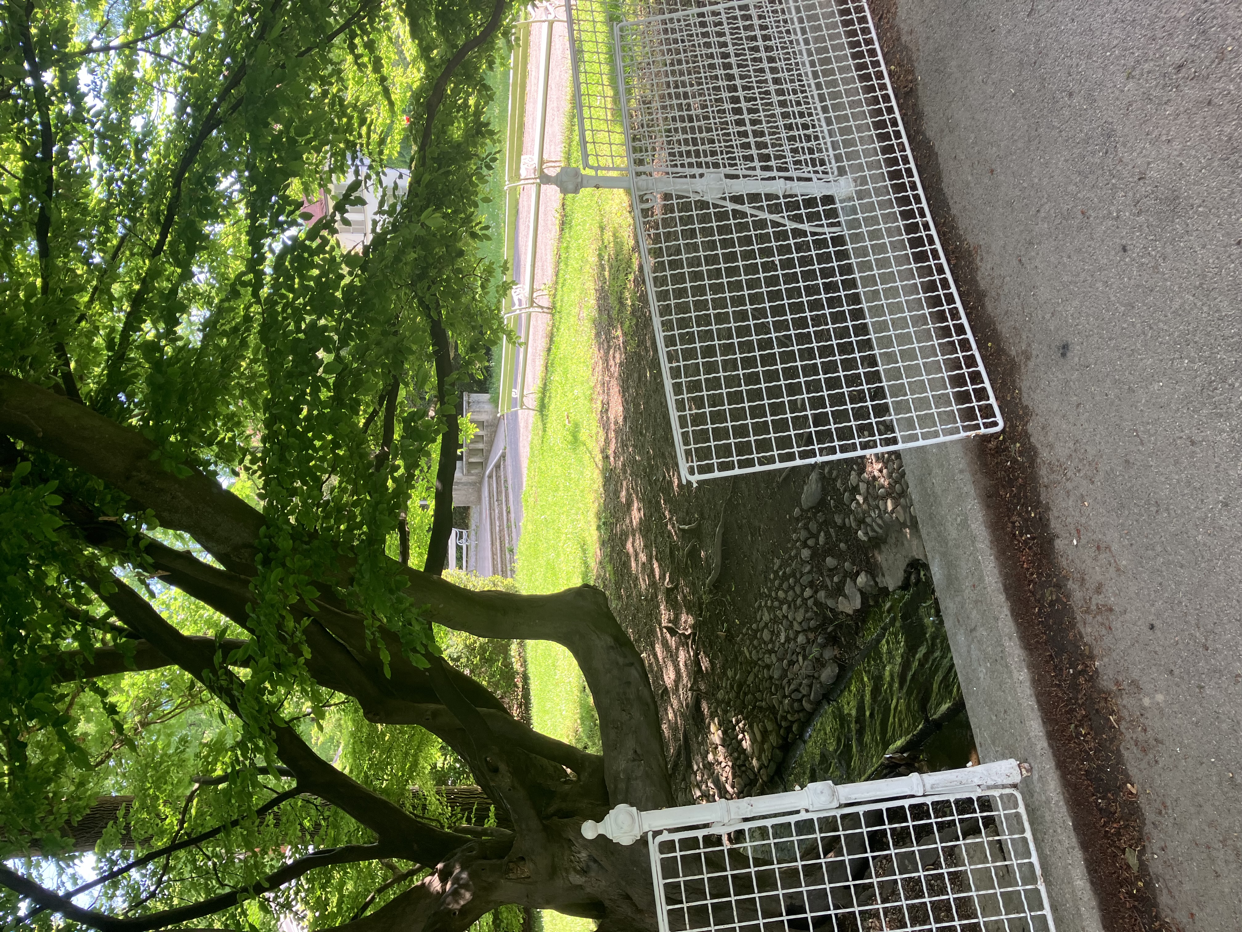 Popravilo ograje v Mestnem parku