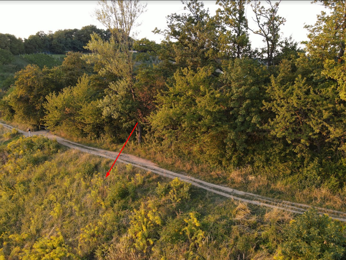 Enkrat letna košnja z mletjem na Kalvariji