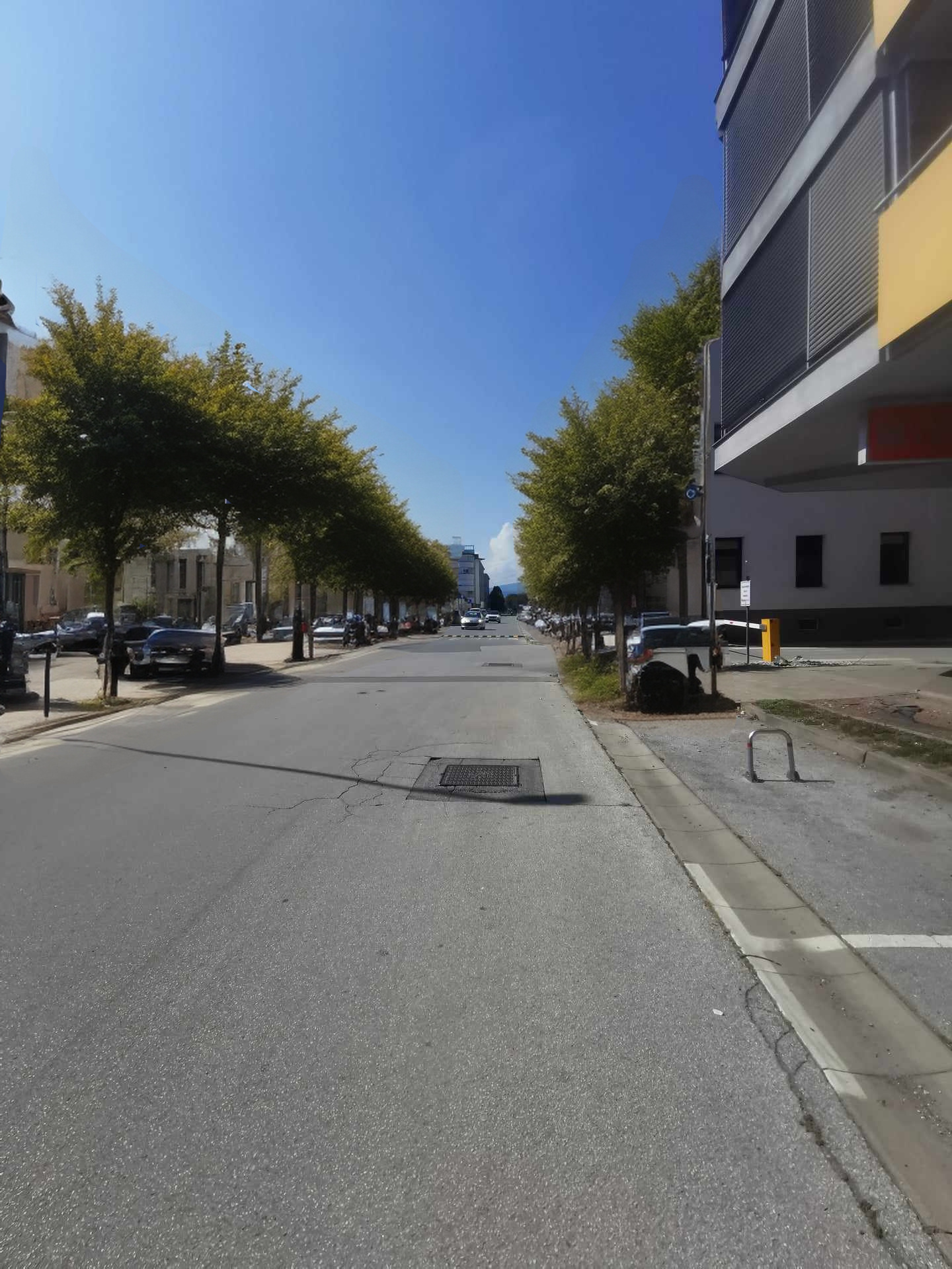 Zazelenitev Žolgarjeve ulice