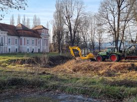 Posek dreves ob dvorcu Betnava