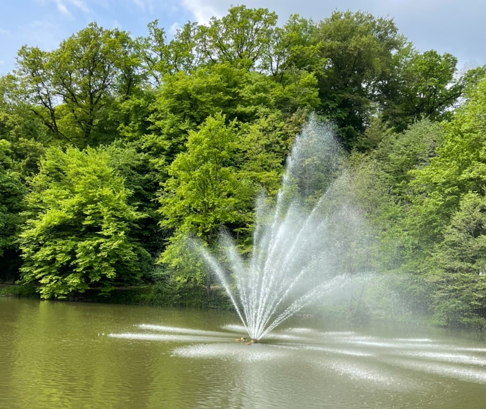Prevrnjen sistem za vodomet v ribniku/mestni park